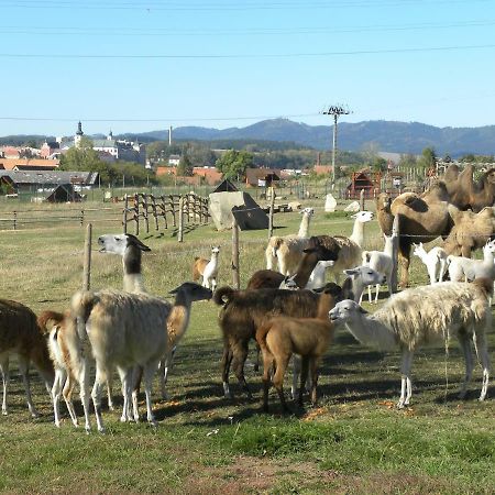Farma Wenet Villa Broumov Bagian luar foto