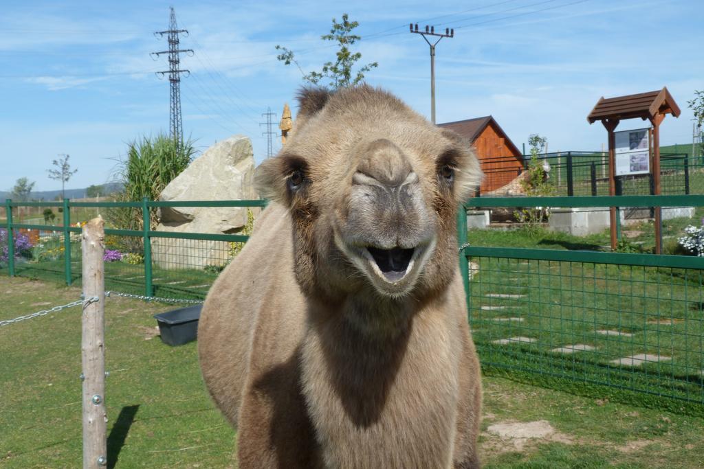 Farma Wenet Villa Broumov Bagian luar foto