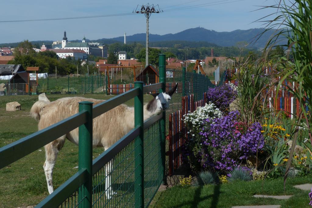 Farma Wenet Villa Broumov Bagian luar foto