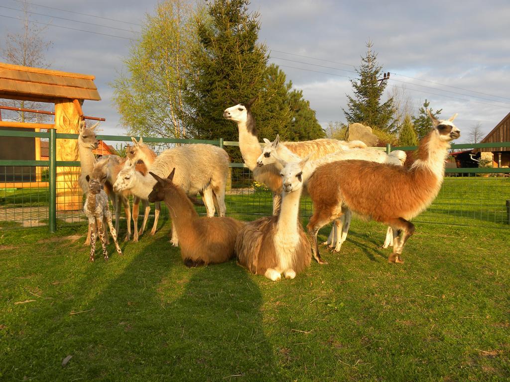 Farma Wenet Villa Broumov Bagian luar foto