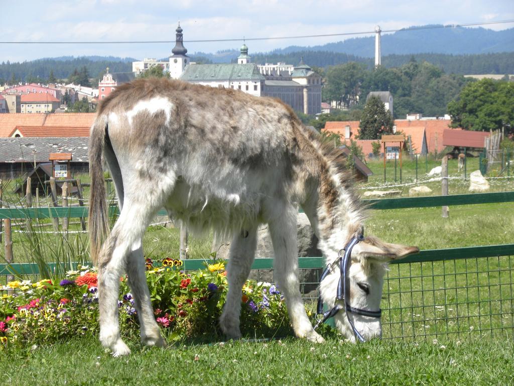 Farma Wenet Villa Broumov Bagian luar foto