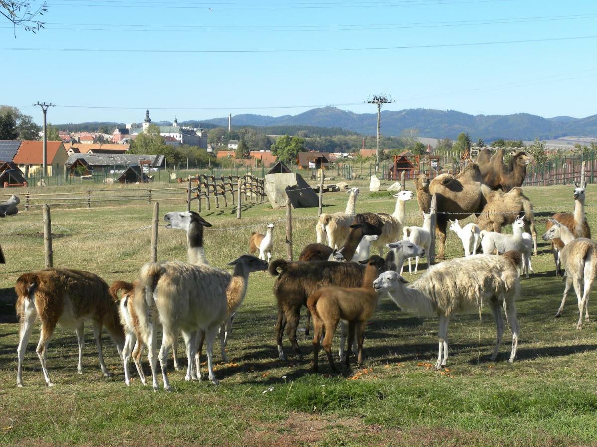 Farma Wenet Villa Broumov Bagian luar foto